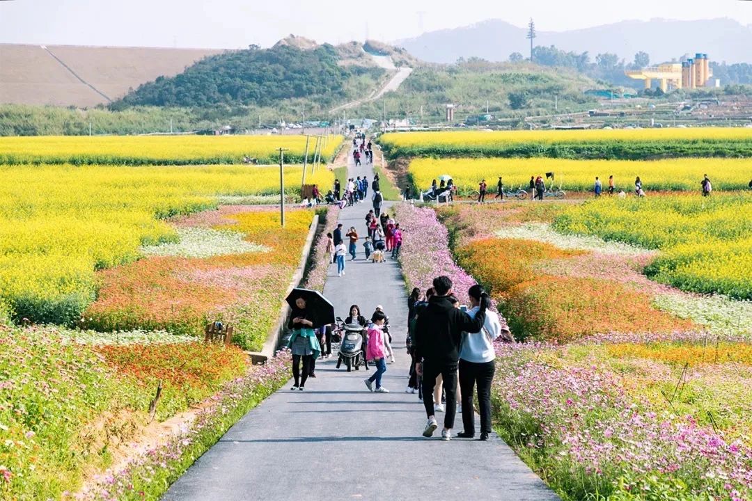 深圳周末浪漫好去处,深圳浪漫约会地点十个景点