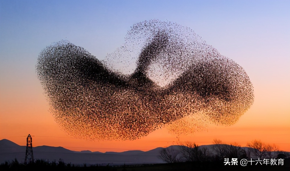 初中生物会考试卷真题及答案,初中生物地理会考模拟卷子