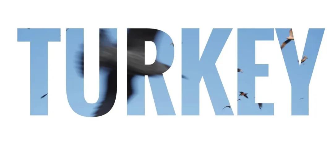 在手机上，如何给视频做一段电影质感的片头或封面？|视频基本功