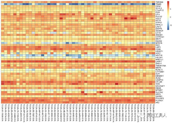 生信分析热图用什么绘制,生信分析r语言生成的图在哪里