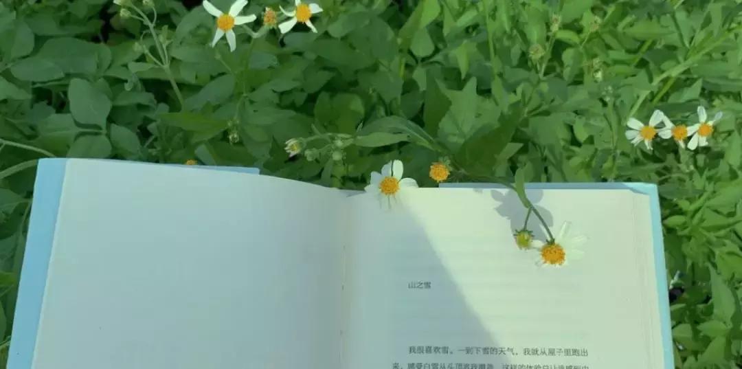 一日慎独则心安日日精进,日日精进人生