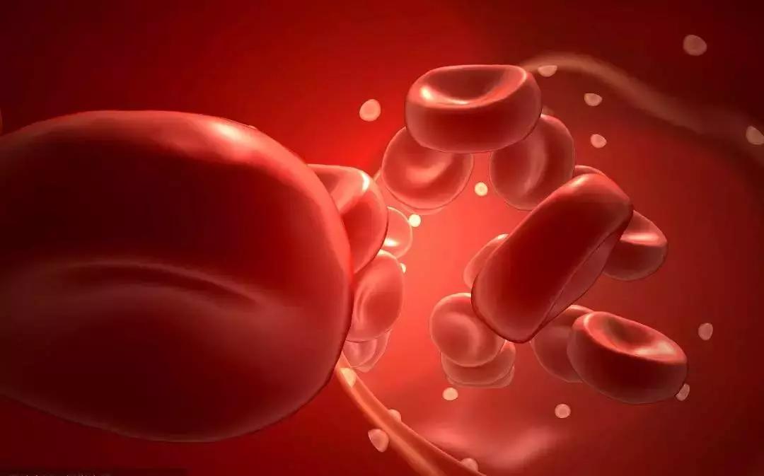 血小板偏高要补气血吗,养血就是养肝吗