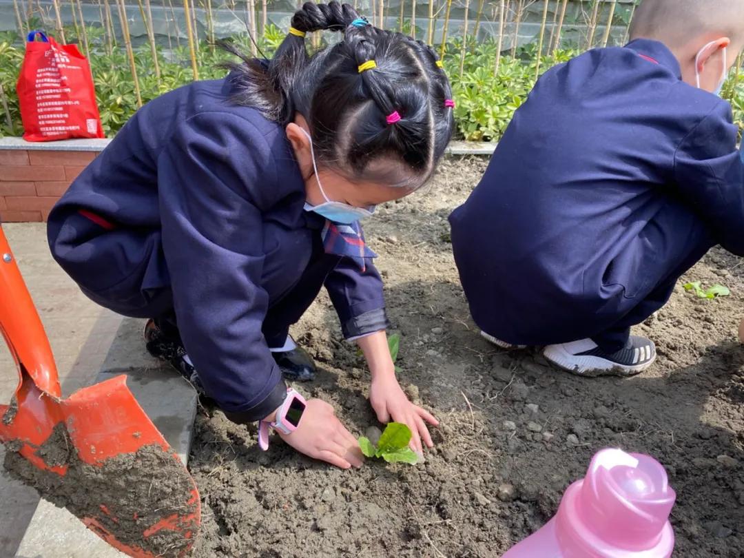 成都实验小学一校三区,成都实验小学西校区