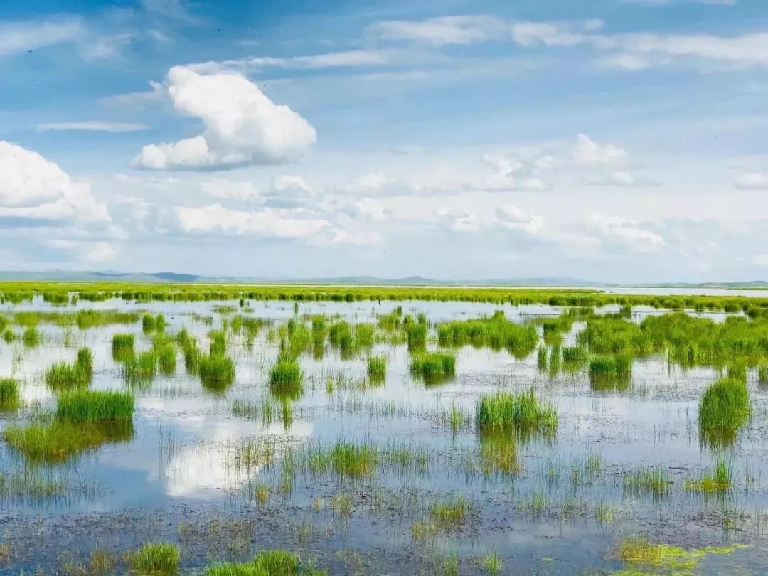 若诗若画若尔盖美景,若诗若画若尔盖文案