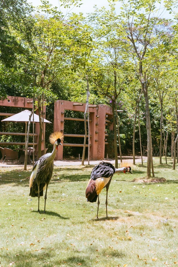 广州南沙最美风景区,南沙湾区超美风景线