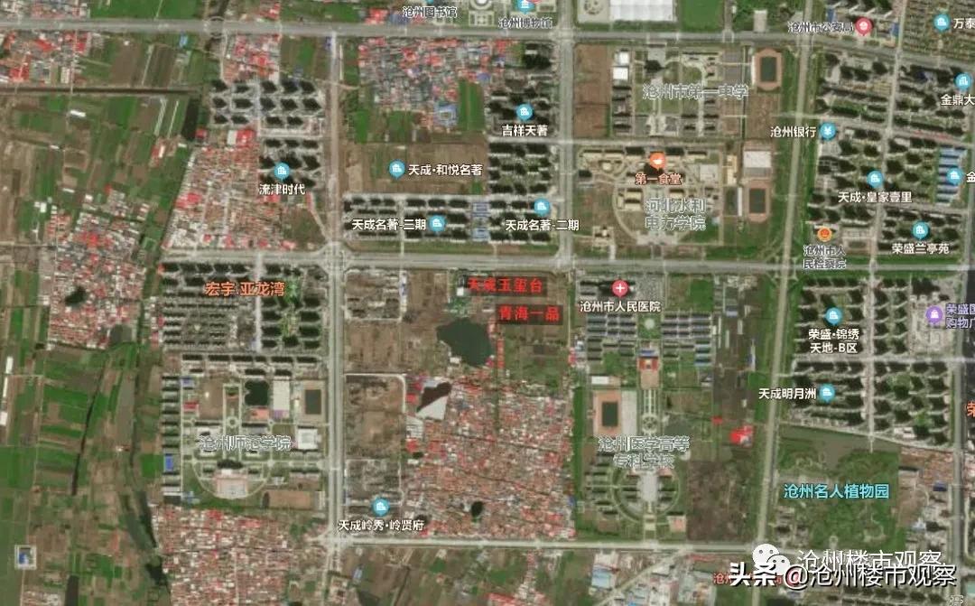 沧州城市更新中部片区,沧州未来最好地段