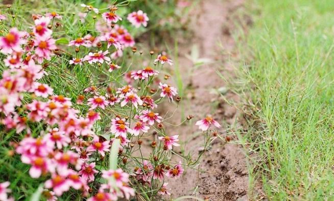 学会安静才有智慧,怎样学会保持安静