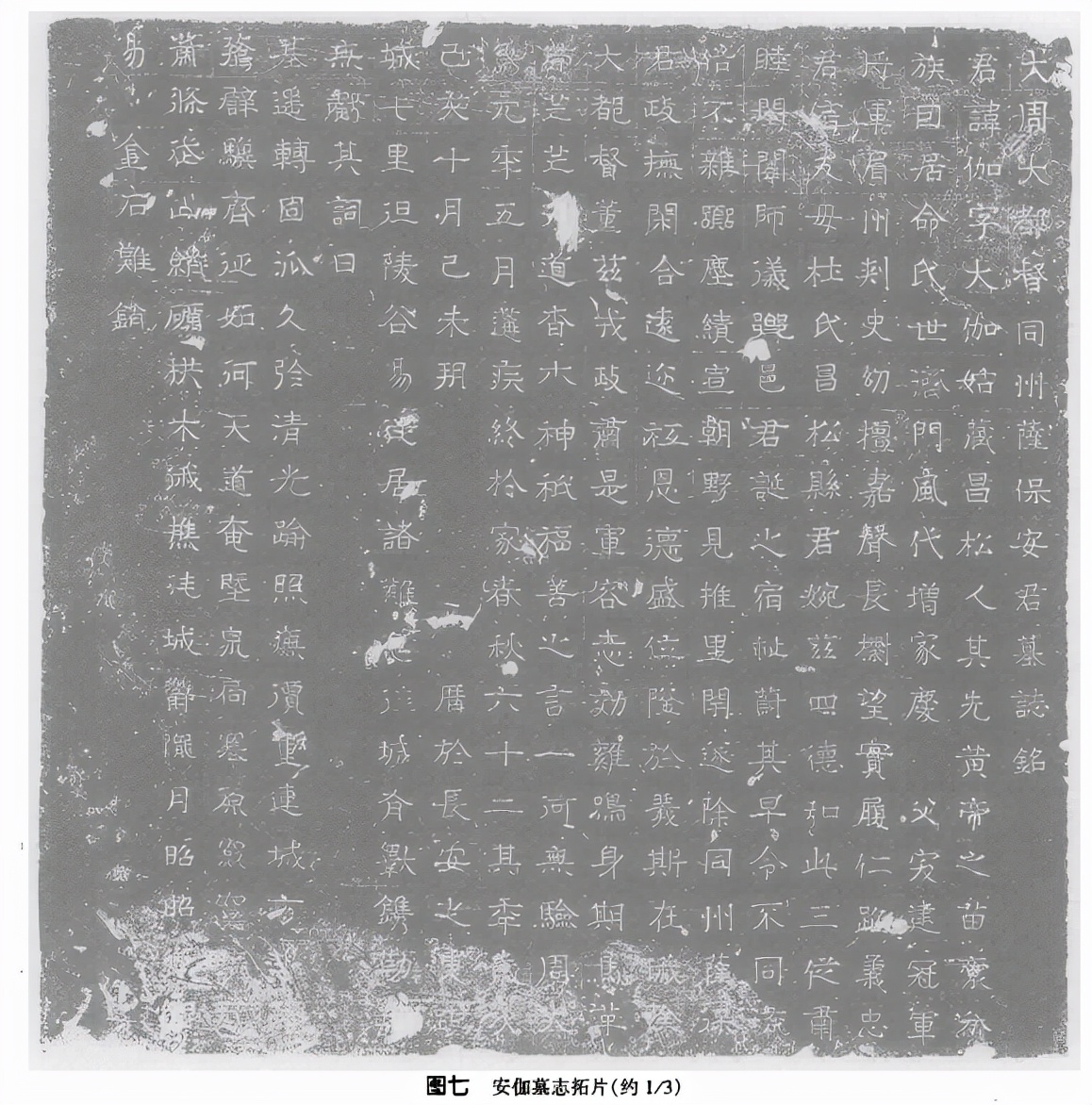 西安发现一帝王级大墓,西安北周墓