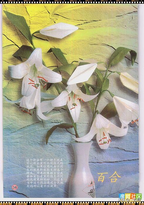 折纸大全方便又漂亮又实用,精致实用的折纸大全步骤