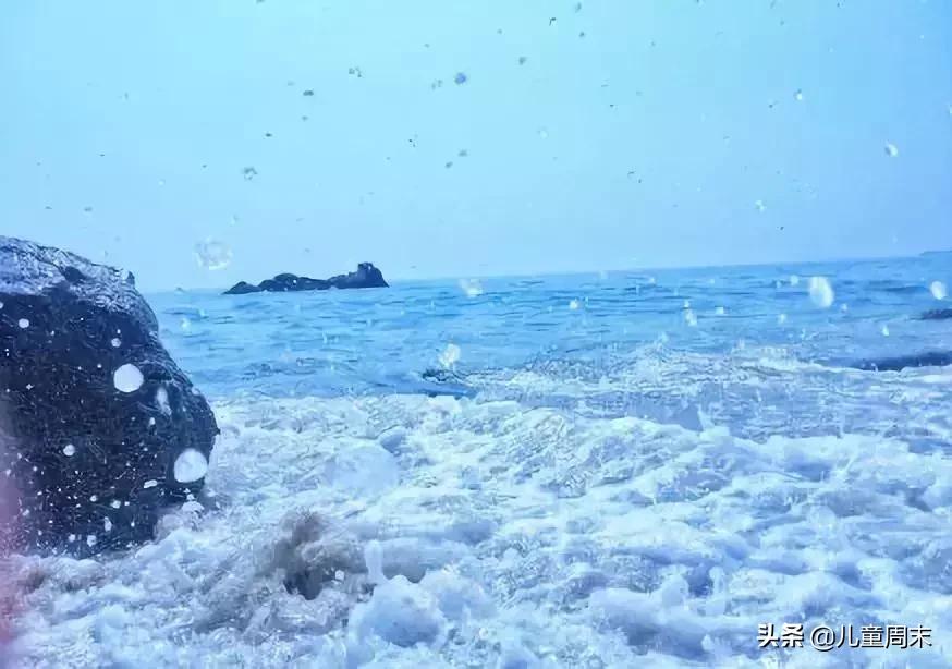 藏不住了深圳小众秘境免费邂逅,藏不住了打卡地