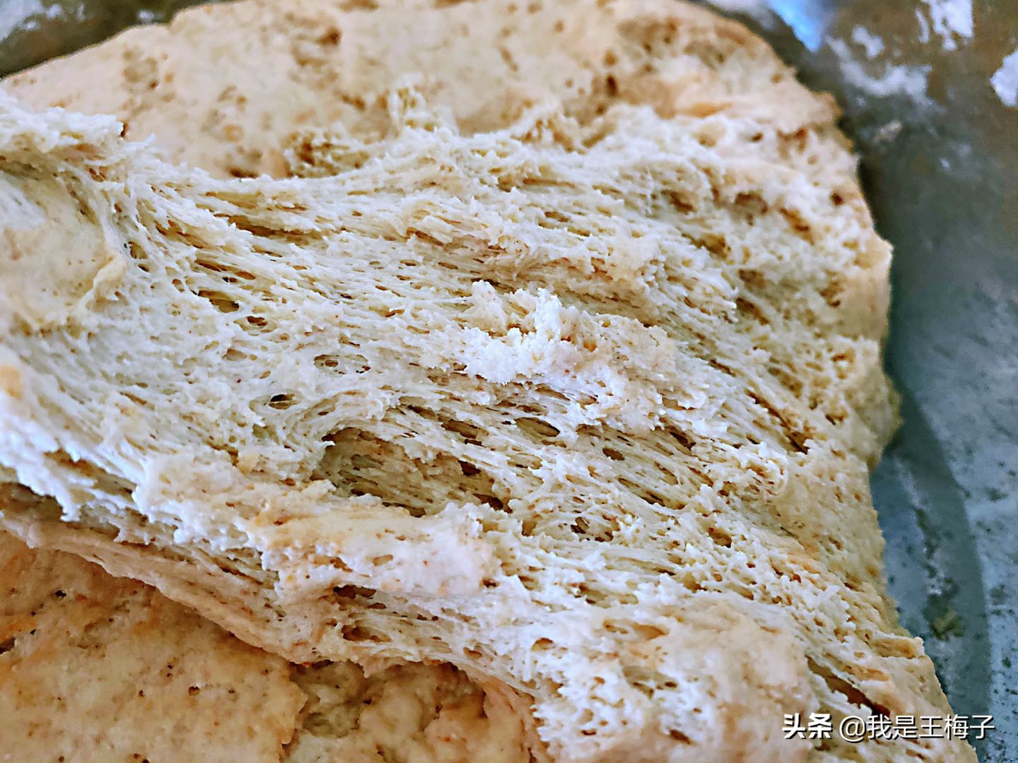 老面馒头成分,老面馒头是用什么面粉做的