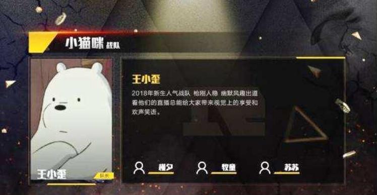 林更新和王小歪打游戏,王小歪与林更新打吃鸡