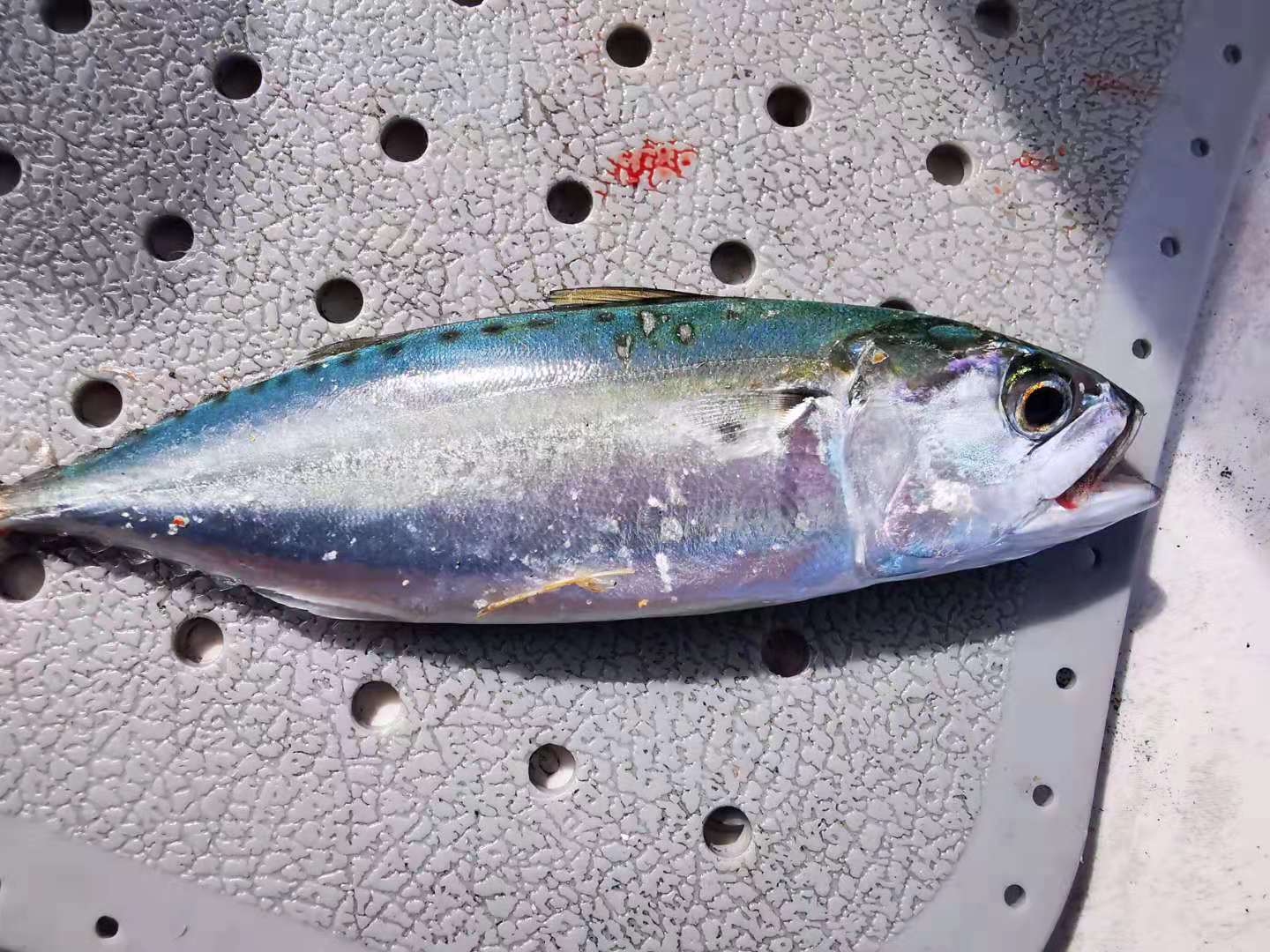 深圳马尔代夫游,深圳三门岛马尔代夫