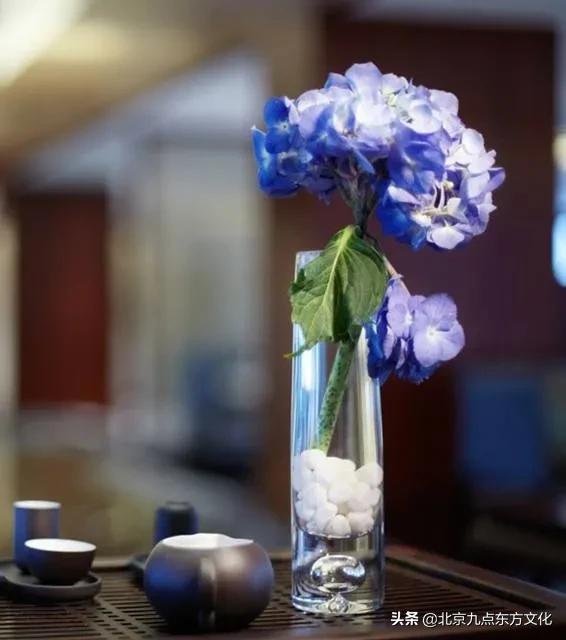 折花逢驿使寄与陇头人的意思,折花逢驿使寄与陇头人谁写的