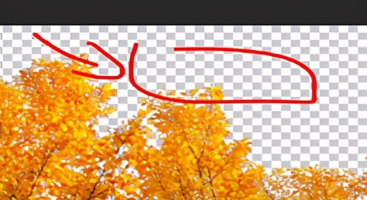 ps的基本面板参数在哪,ps的基础操作有哪些