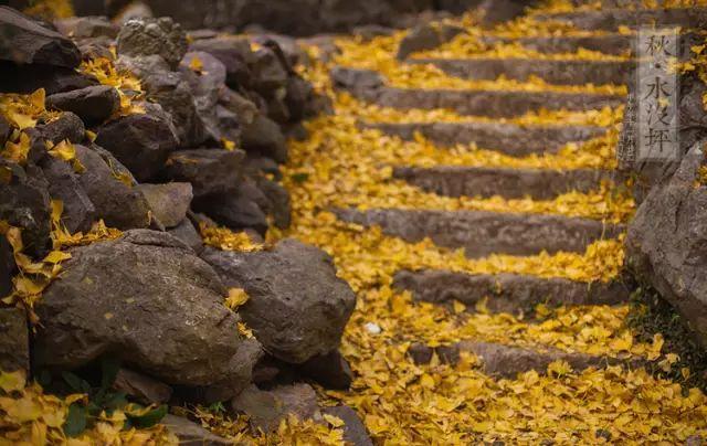 湖北钟祥：中国唯一人口守恒村？生一人死一人，百年未变！