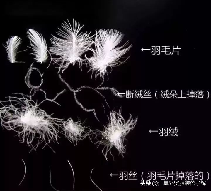 moncler羽绒服价格表2021男款,moncler羽绒服好在哪