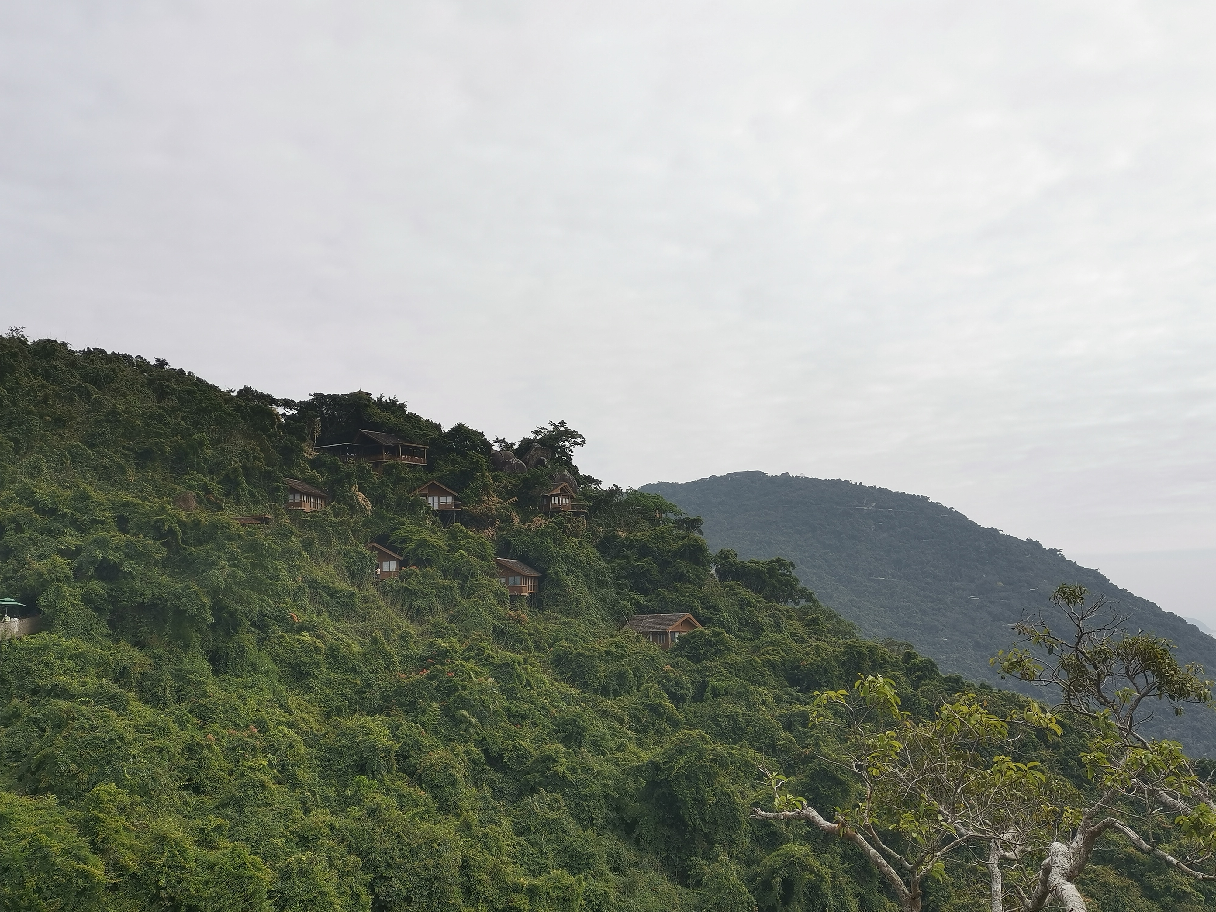 去了海南三亚,去完三亚热带森林公园可以逛哪里