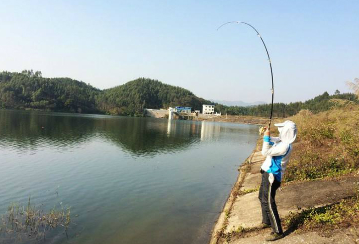 大鱼上钩后，“抱杆”和“摆杆”哪个动作靠谱？崔大师给出答案