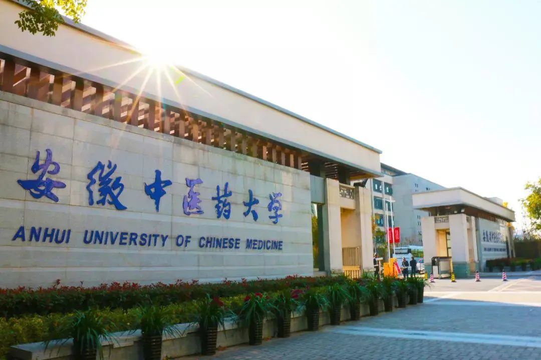 合肥“瑶新北”怒了