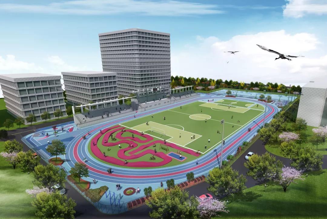 新城区新建体育公园,期待新区又要新建一座人行景观桥