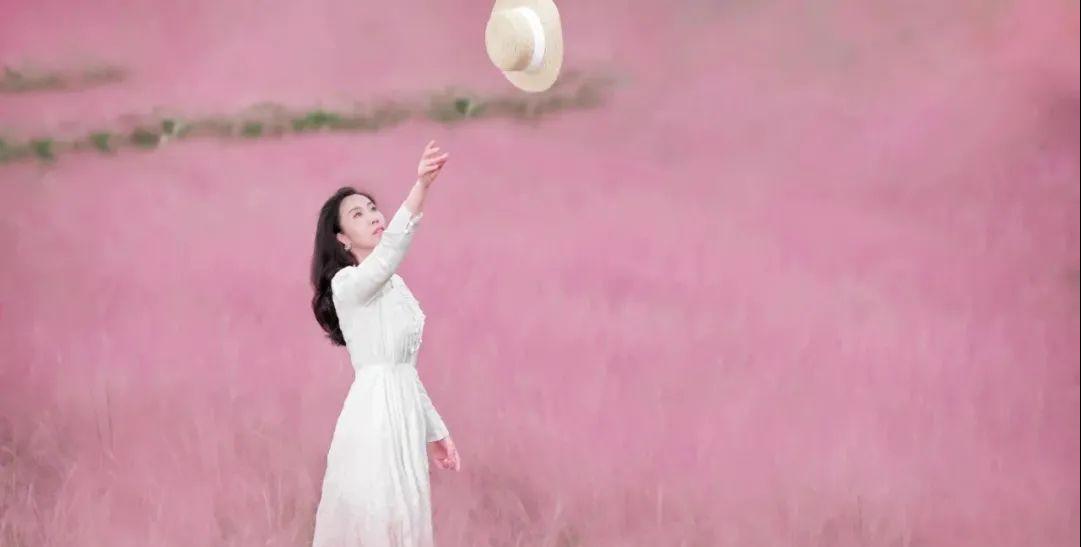 粉黛乱子草红了！成都周边这6个地方，不收门票这周就能去