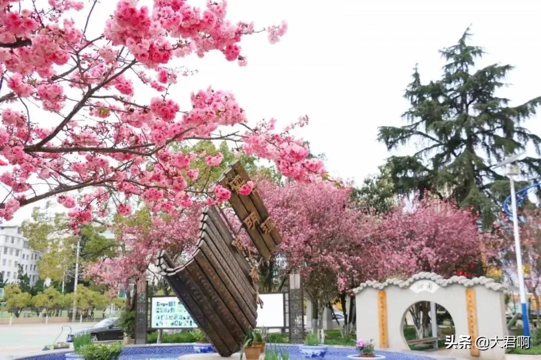 昆明市第二十四中学初中部,校园街拍昆明市第二十四中学