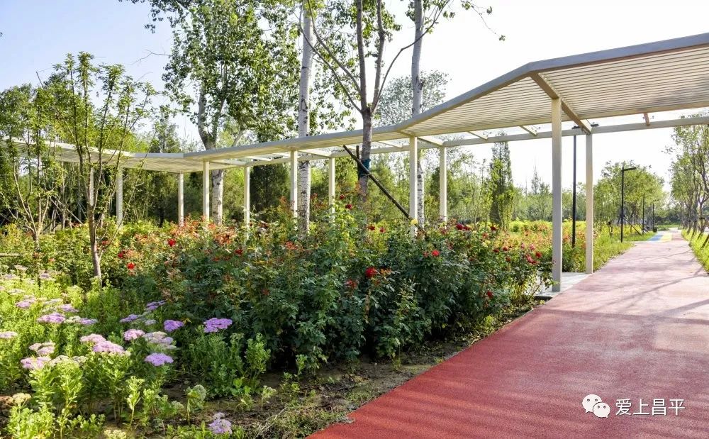 昌平自驾游京郊最佳好去处,北京昌平区冬季旅游