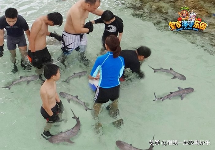 抚顺海洋馆外面有什么,沈阳和抚顺哪个海洋馆比较好