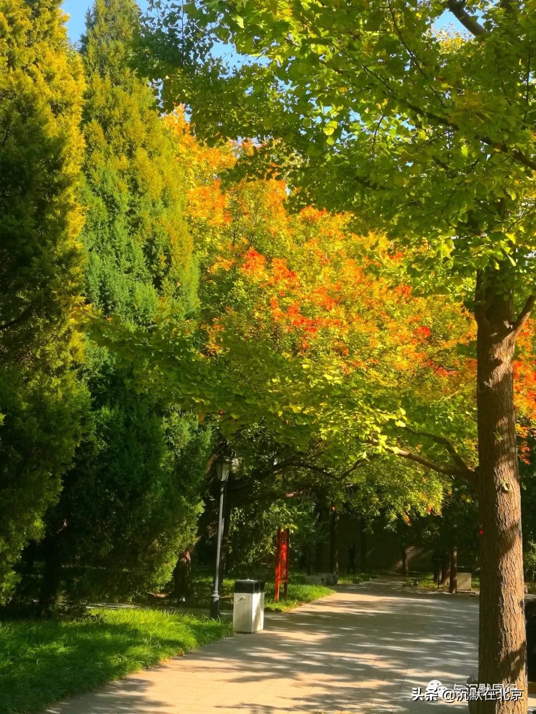 北京之秋的感受,最美的北京之秋