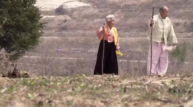 韩国最感人的爱情影片,感人催泪片段韩国纪录片