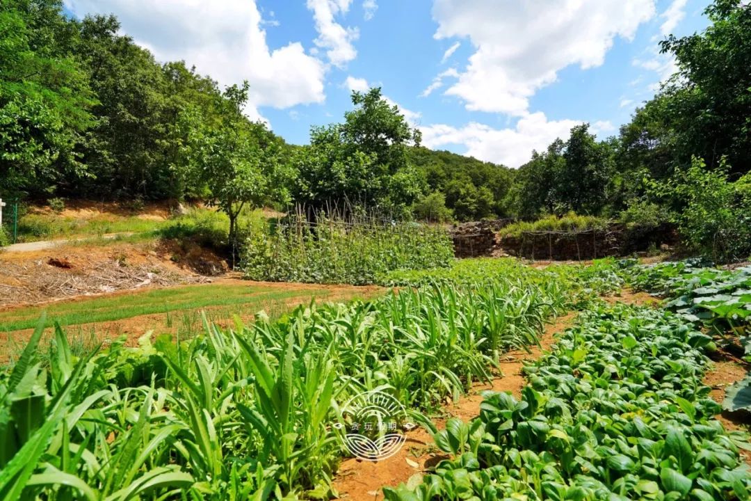 桃源溪谷哪里好玩,桃源溪谷一日游