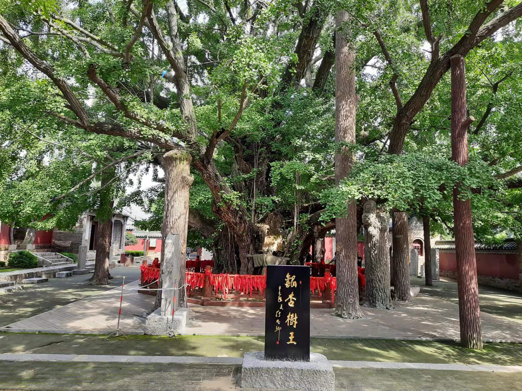 一个南方人对山东的看法,山东人在南方的印象