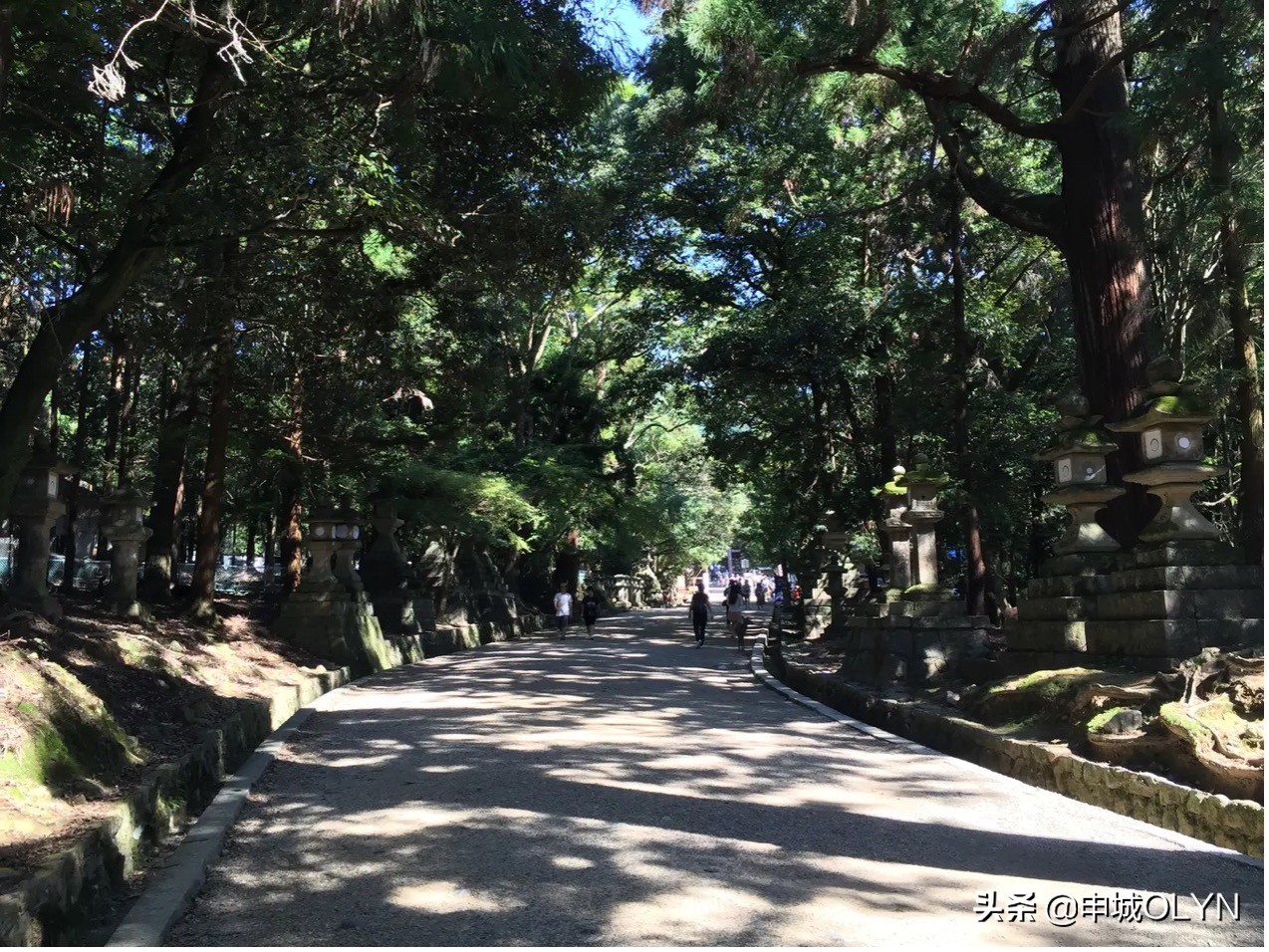 日本三年签证去冲绳和大阪,曾经申请过日本签证