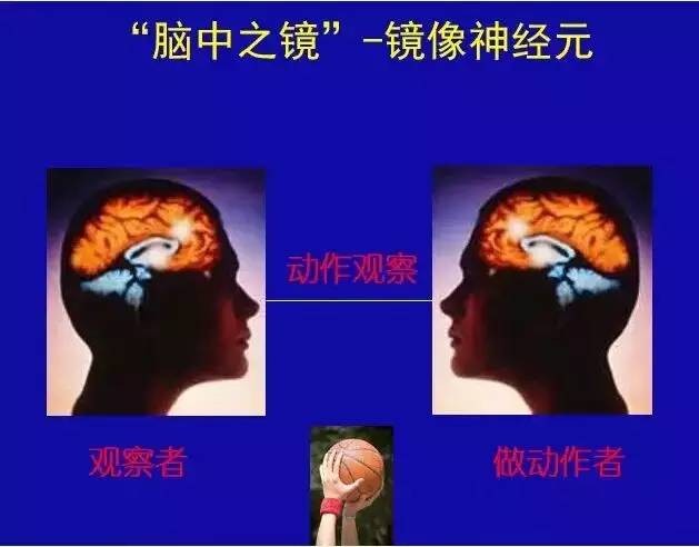 天庭饱满有福相有科学依据吗,天庭饱满是不是30岁就有福气