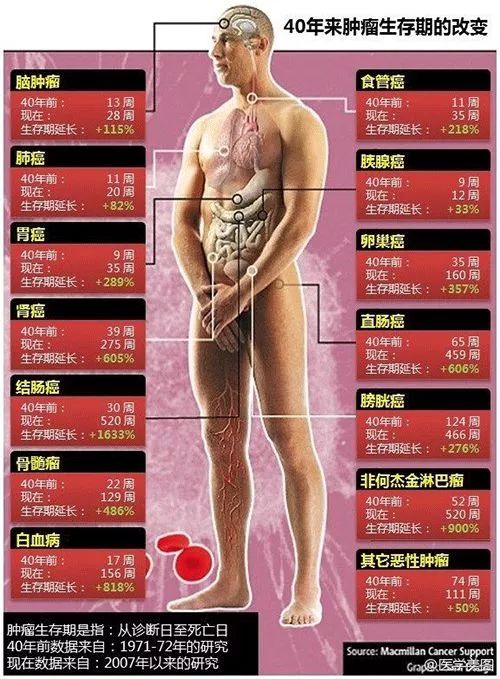 丁香医生讲权健,丁香医生说权健