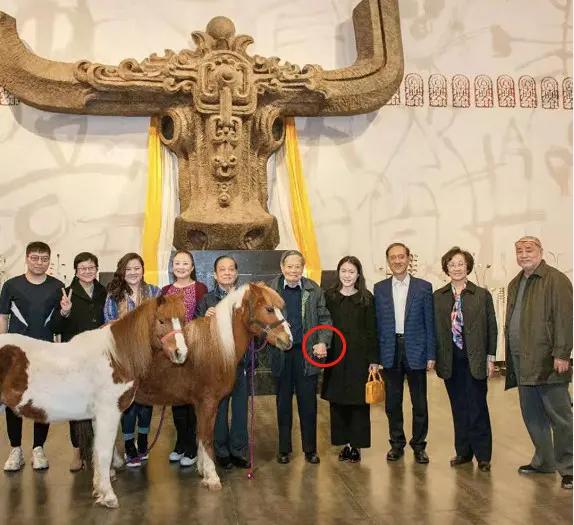 杨振宁和韩美林有孩子吗,杨振宁翁帆结婚前结婚后的合照