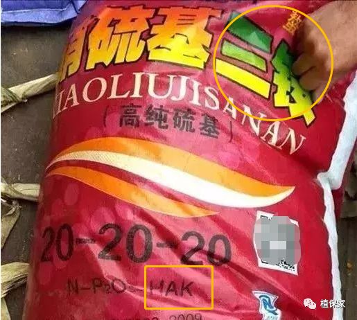 “忽悠团”卖化肥，十里八村都上当！一当更比一当强