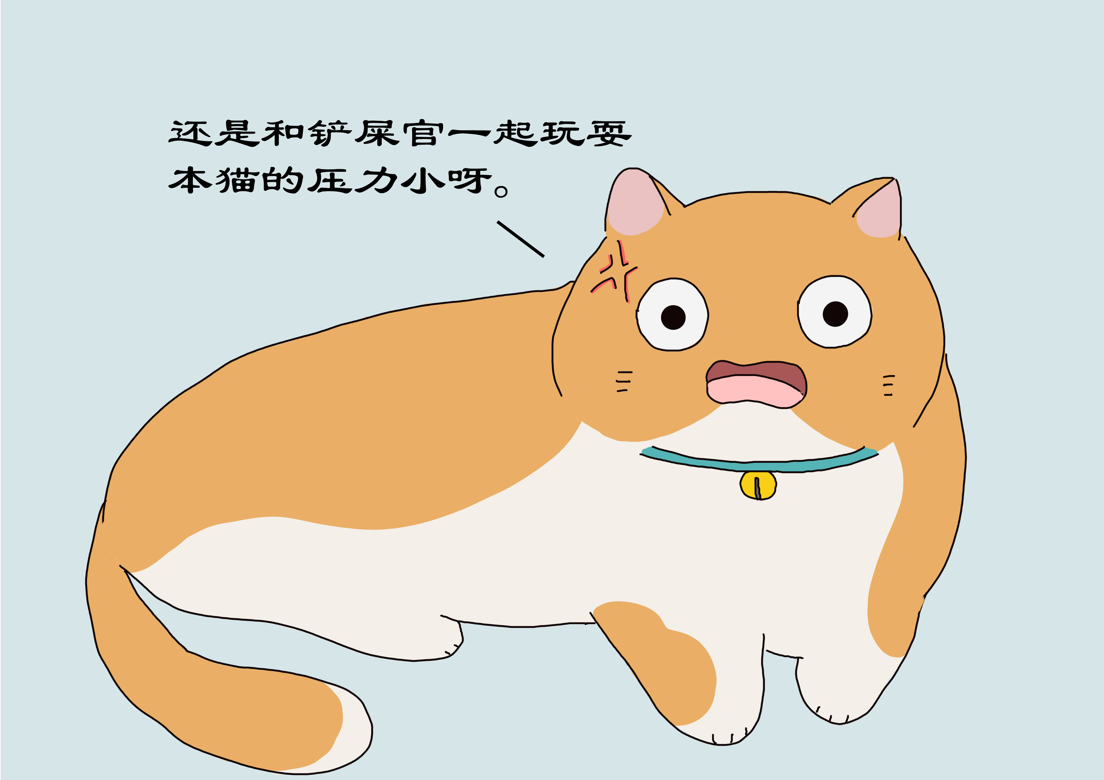 铲屎官养猫注意事项,对猫有利的3种玩耍方式