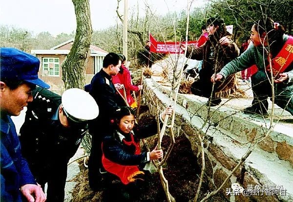 青岛武定路,青岛武定路历史
