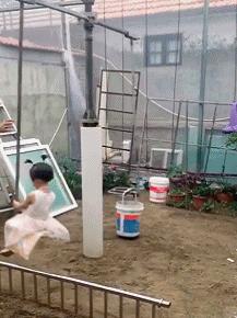 京东plus会员有爱奇艺会员怎么领,京东plus会员是钻石会员吗