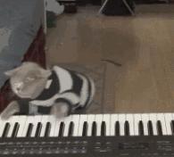 河南卫视中秋奇妙游星空,河南卫视中秋奇妙游直播