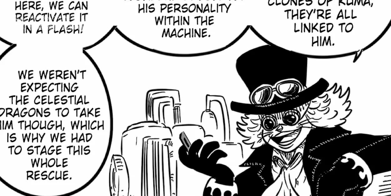 海贼王番外篇之营救暴君熊的计划