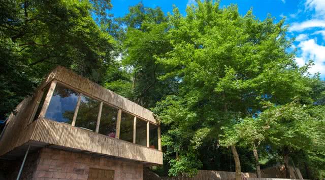 广东省内森林旅游景点,广东森林公园排行榜