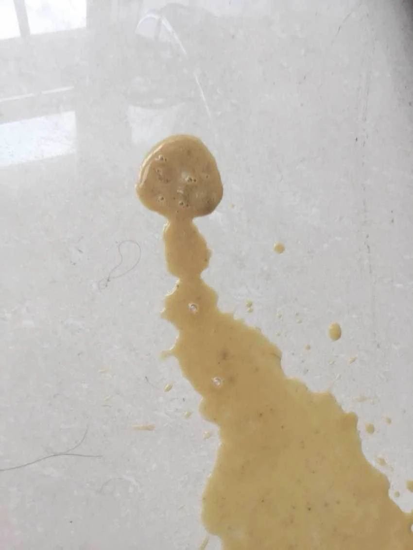 狗狗呕吐白色泡沫后又吐黄色粘液,狗狗吐了有什么方法治疗