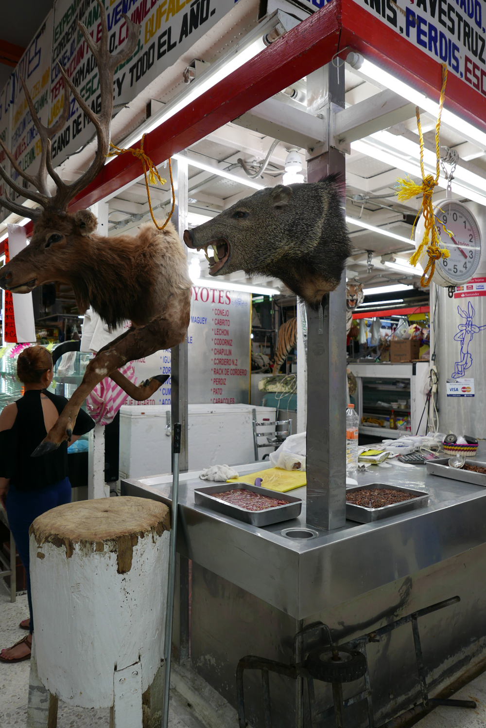 EATWILDLYINMEXICOCITY墨西哥城：食在野（二）