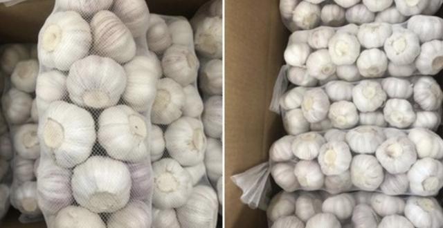 杰哥观市：2019年5月10日大蒜价格行情库蒜偏弱趋跌新蒜量大价弱