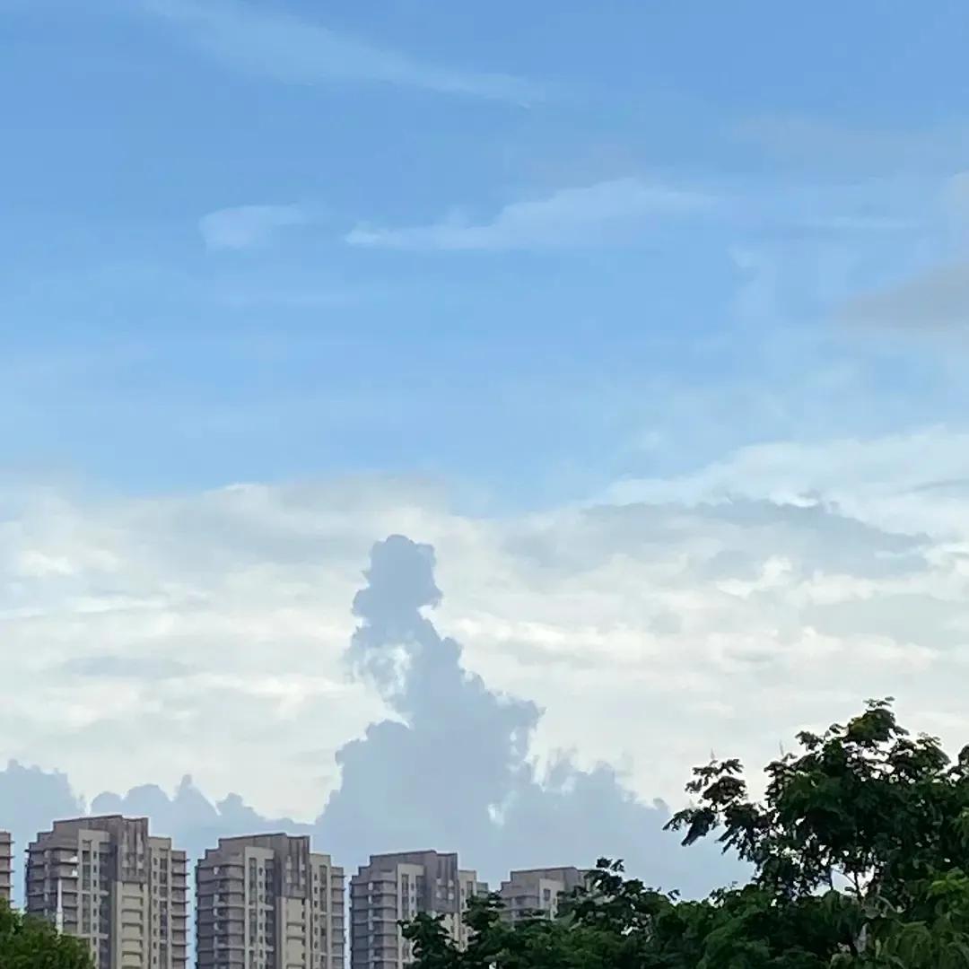 12个“无用”之美，第一个就被惊艳到了