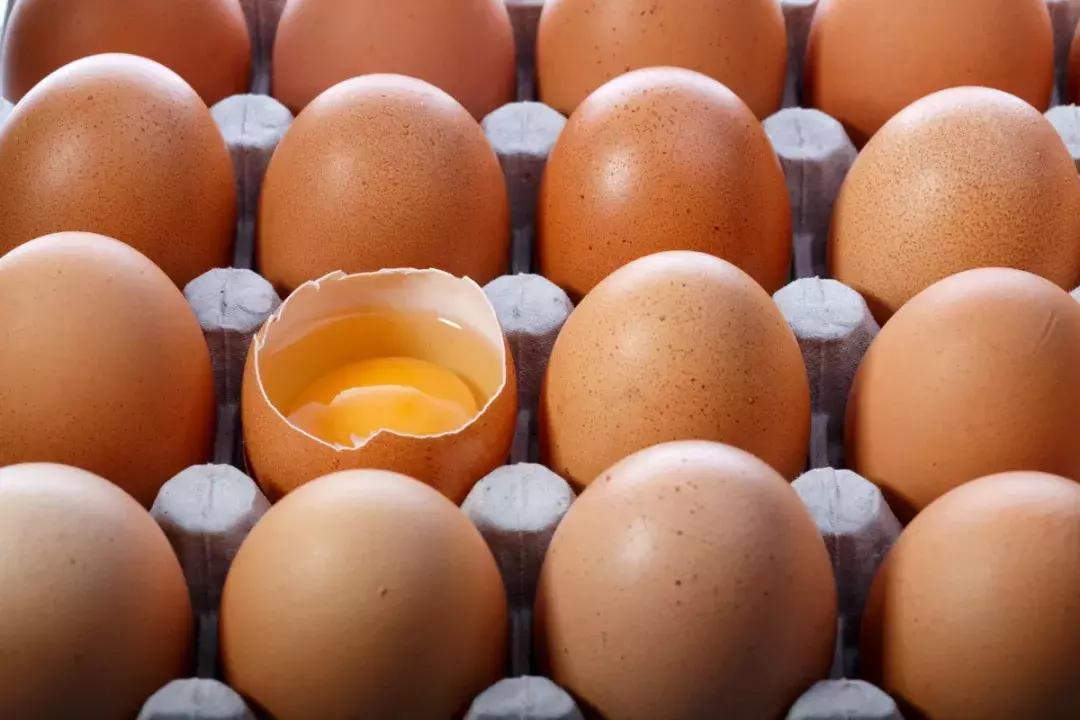 鸡蛋过敏是怎么回事？该如何吃辅食呢？