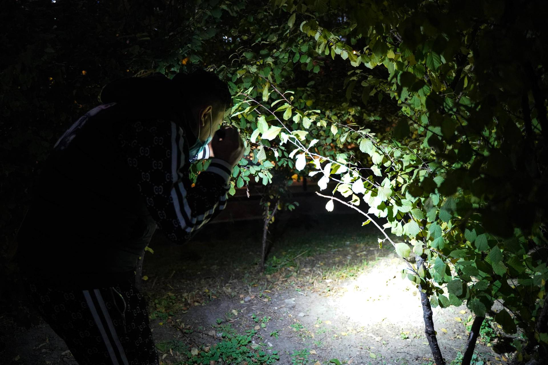 小巧便携，亮度高！体验菲尼克斯E20V2.0便携手电